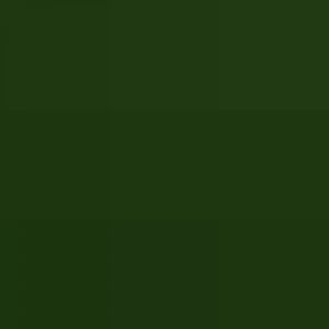 Black Mangabey And MangaBaby