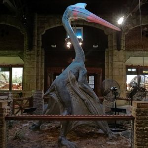 Reptile House - Interior