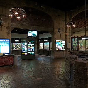 Reptile House - Interior