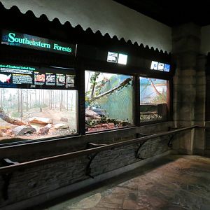 Reptile House - Terrariums