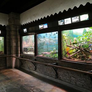 Reptile House - Terrariums