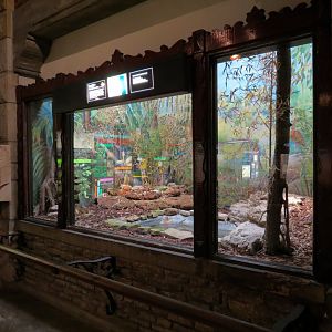 Reptile House - Terrarium