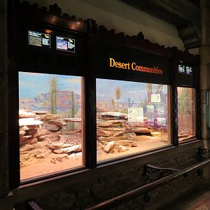 Reptile House - Terrarium