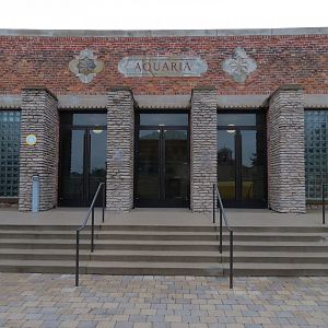 Aquarium - Exterior