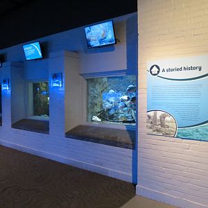 Aquarium - Interior