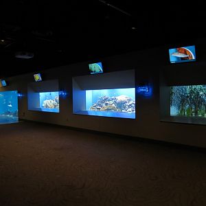 Aquarium - Interior