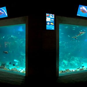 Aquarium - The Reef