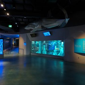 Aquarium - Interior