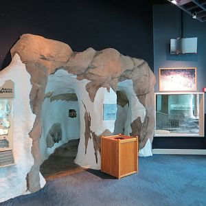Arctic Encounter - Viewing Building Interior