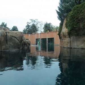Arctic Encounter - Grey Seal Exhibit