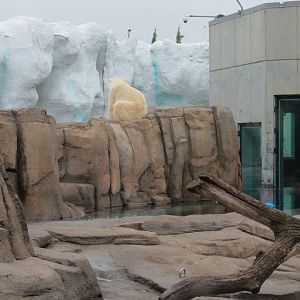 Arctic Encounter - Polar Bear Exhibit