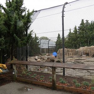 Arctic Encounter - Polar Bear Exhibit