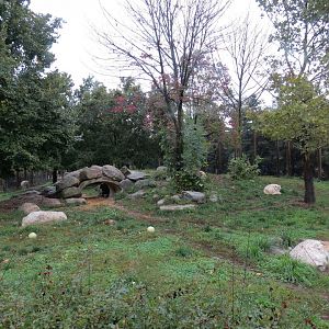 Arctic Encounter - Gray Wolf Exhibit