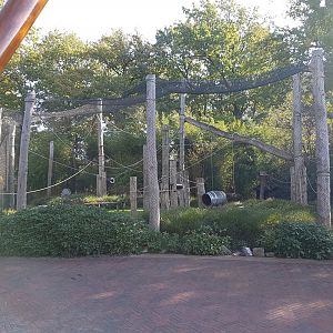 Ring-tailed lemur-enclosure