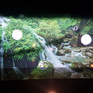 Enclosure Chinese crocodile-lizards - Still empty