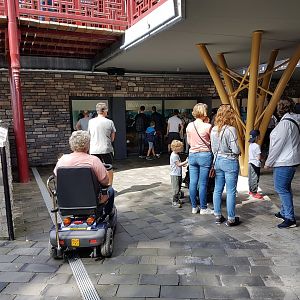 Viewing-window other indoor Panda-enclosure