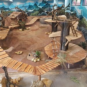 Indoor-panda enclosure