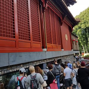 More viewing-windows Panda-indoor enclosure