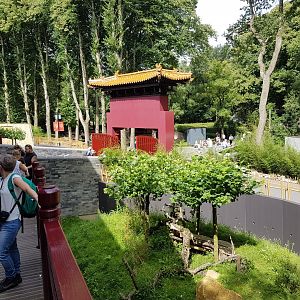 Entrance - Exit Pandasia