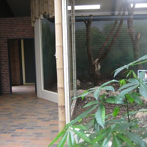 Givskud Zoo - Macaque house