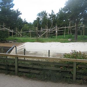 Givskud Zoo - Macaque outdoor exhibit