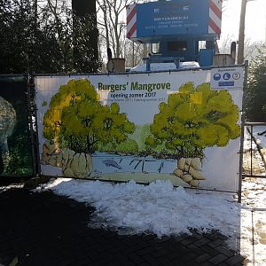 Info Mangrove-hall