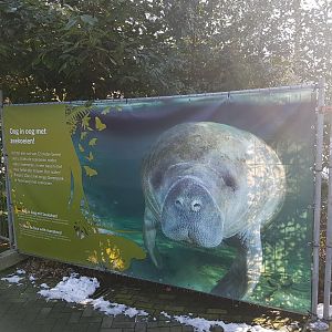 Info new Mangrove-hall