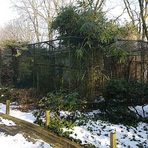Aviaries