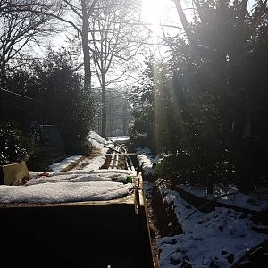 New Mangrove-hall under construction