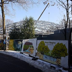 New Mangrove-hall under construction