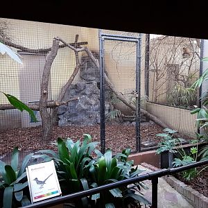 Indoor-aviary Birdhouse - Roadrunner