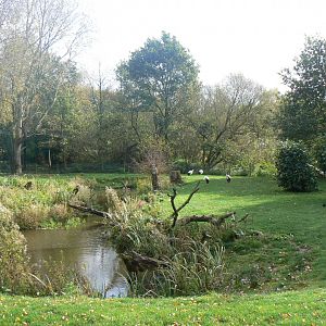 European White Stork Enclosure - 14 October 2017