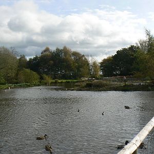 South America - 14 October 2017