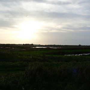 Nature Reserve at Dusk - 14 October 2017