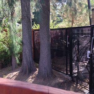 Off Exhibit Lemur Holding Area