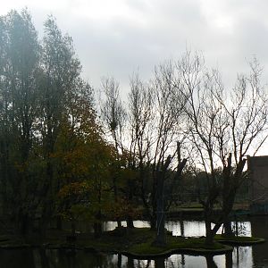 Pileated Gibbon Island - 15 October 2017