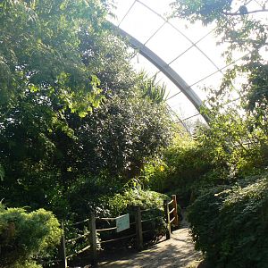 View in 'Amazonia' - 15 October 2017