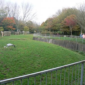 Bongo/ Blue Crane Paddock - 15 October 2017