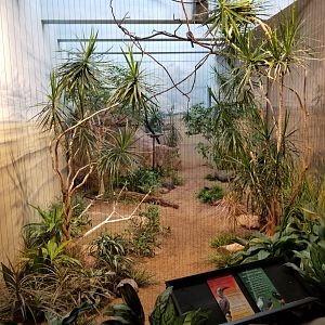 Oct. 2017 - Mahler Family Aviary - African Savanna - Red-billed Hornbill Exhibit
