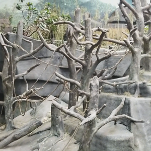 Clip - Gorilla Exhibit