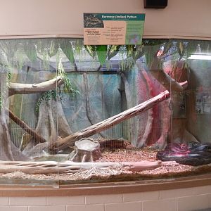 9/29/2017 - Burmese Python Terrarium