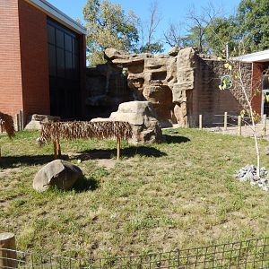 9/29/2017 - Galapagos Tortoise Habitat