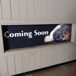 9/29/2017 - Swift Fox Exhibit Extension Coming?