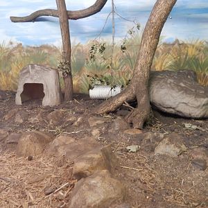 9/29/2017 - Swift Fox Exhibit