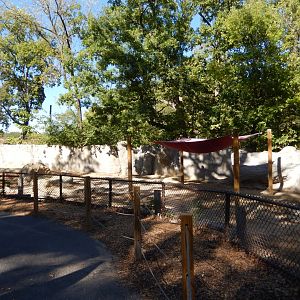 9/29/2017 - Sichuan Takin Exhibit