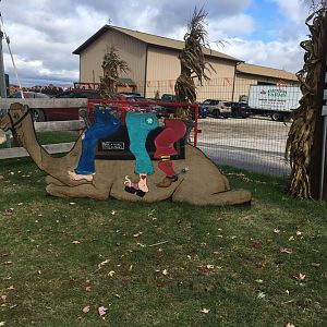 Didier Farms - Camel Ride Sign