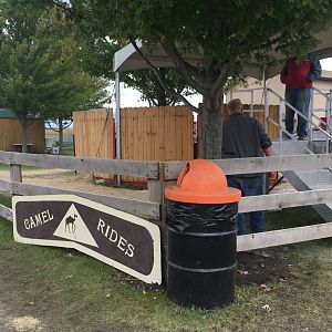 Didier Farms - Camel Ride Station