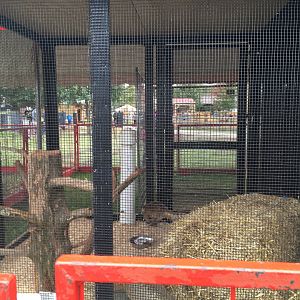 Didier Farms - Coatimundi Cage