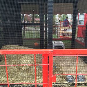 Didier Farms - Serval Cage