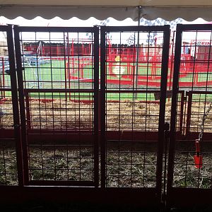 Didier Farms - African Crested Porcipine Pen